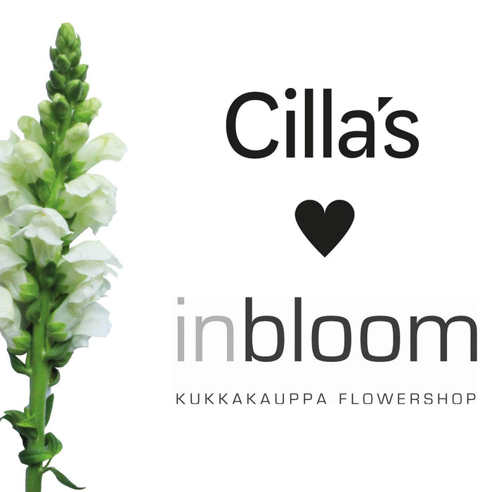 Cilla's <3 Inbloom