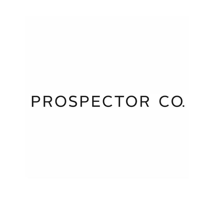 Prospector Co.