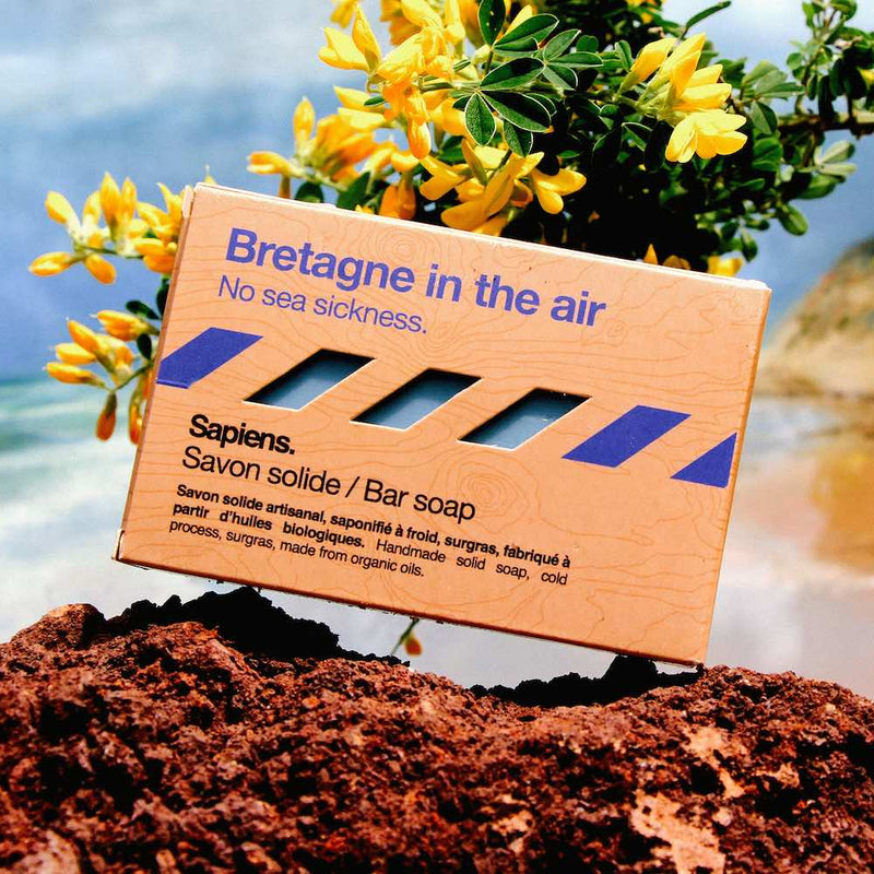 Sapiens palasaippua, Brittany in the Air