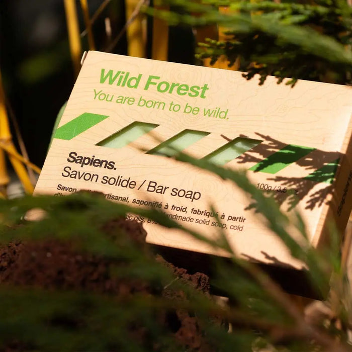 Sapiens palasaippua, Wild Forrest