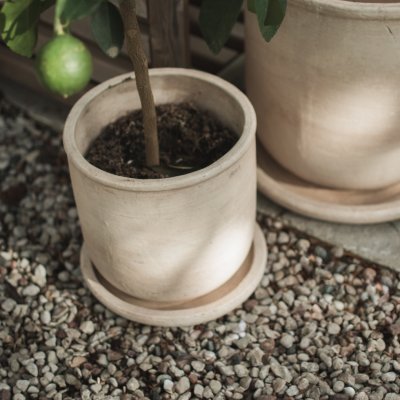 DBKD Pieni Terra-ruukku, Sand